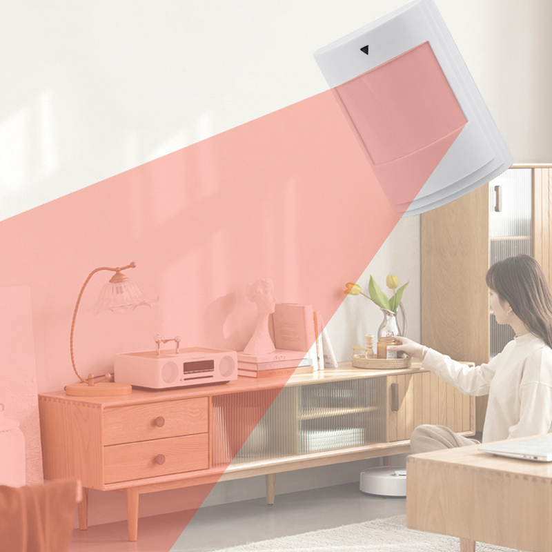 Allarme Antifurto per Interni  - Motion Sensor Pir Wired recensione e prezzo